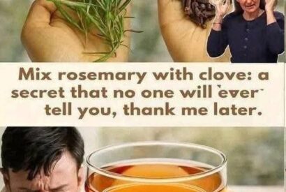 Thumbnail for Rosemary–Clove Herbal Infusion (Comfort Tea)