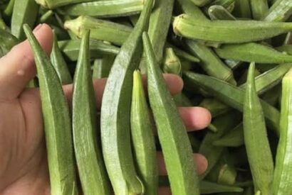 Thumbnail for Doctors Reveal That Eating Okra Causes… (The Truth About Okra and Diabetes)