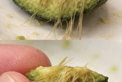 Thumbnail for What Those Strange Strings in Your Avocado Really Mean