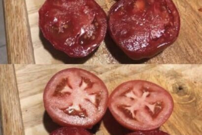 Thumbnail for How To Store Your Tomatoes to Stay As Fresh As Possible (And Never Get Mealy Again)