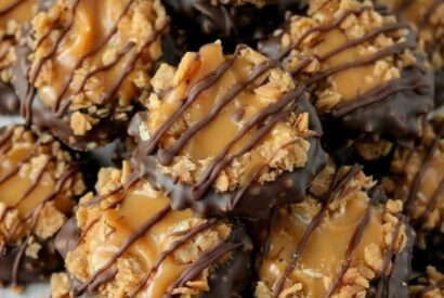 Thumbnail for Easy No-Bake Samoa Cookies (5-Ingredient Shortcut Dessert)