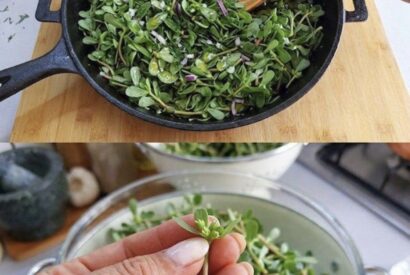 Thumbnail for Purslane: The Superfood That Tastes Better Than Meat – 7 Reasons to Grow It in Your Garden