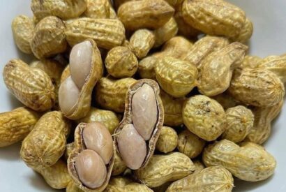 Thumbnail for Do Peanuts Really Cause Health Problems? Doctors Reveal the Truth