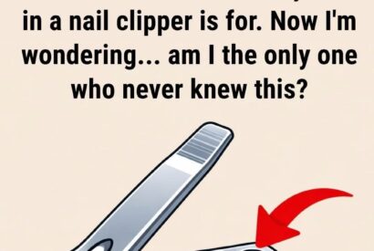 Thumbnail for At first glance, a nail clipper looks like a simple grooming tool. But if you look closely, you’ll notice a tiny round hole near the lever.