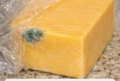 Thumbnail for I just got home from the store and opened this expensive block of cheddar to make dinner. There is a small spot of green fuzz on the corner, but the rest of the block looks completely fine. Do I just