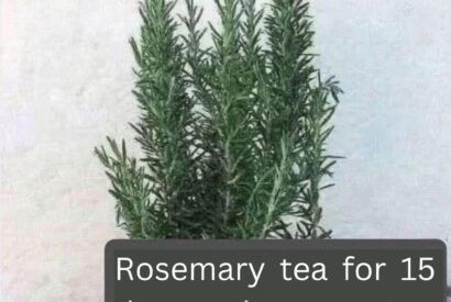Thumbnail for Rosemary Tea for Muscle and Joint Comfort: Benefits, Uses, and What to Expect