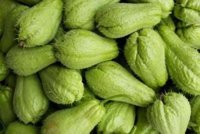 Thumbnail for The Secret Green Superfood Doctors Are Begging Diabetics To Eat For Instant Blood Sugar Control