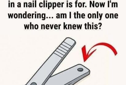 Thumbnail for The Hidden Function: That Tiny Hole in Nail Clippers