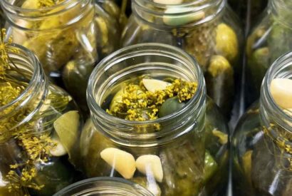 Thumbnail for America’s Absolute Best Pickle and Fermentation Shops