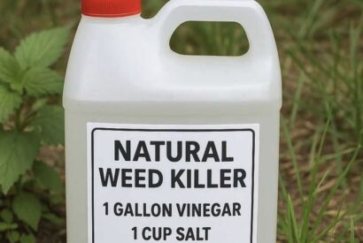 Thumbnail for My nana swears by this DIY weed killer recipe. Here’s how it works