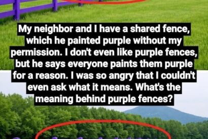 Thumbnail for If You Spot a Painted Purple Fence, This Is What It Means