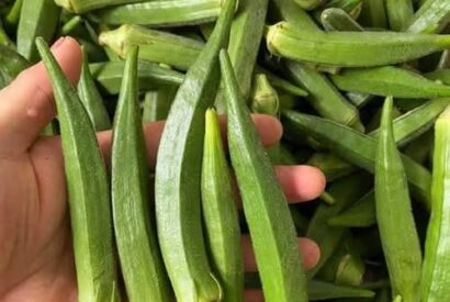 Thumbnail for Experts Explain How Okra Can Benefit Your Health