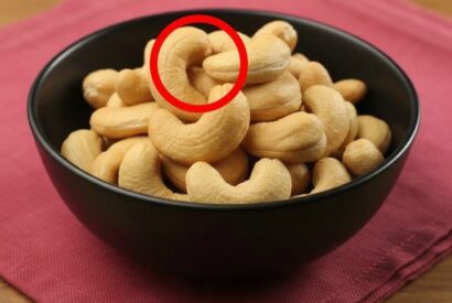 Thumbnail for Doctors Reveal What Really Happens to Your Body When You Eat Cashews Every Day