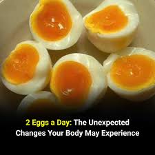 Thumbnail for “Why More People Over 60 Are Eating 2 Eggs a Day”