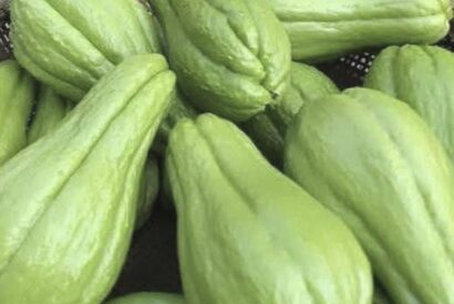 Thumbnail for Doctors reveal that eating chayote causes ….