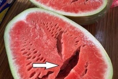 Thumbnail for You Cut Open a Watermelon and Saw Cracks? Stop Eating It Immediately! Here’s What It Really Means